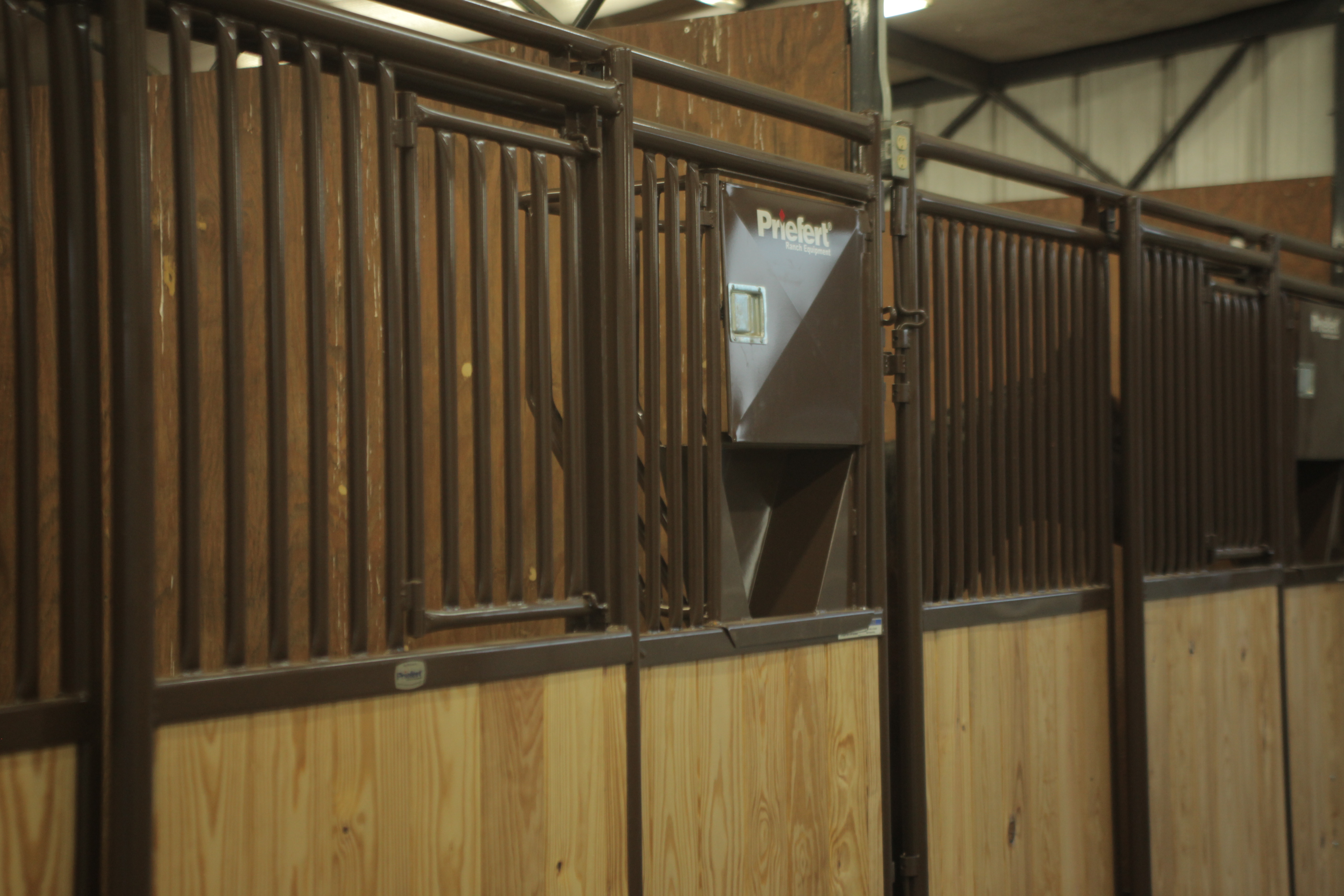 Premier Horse Stalls 01.JPG